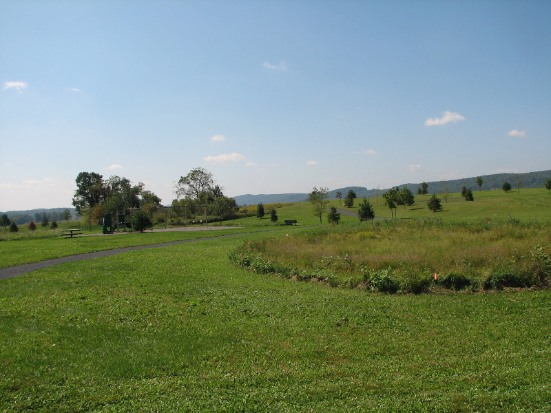 Frequent mowing up to the edge of this marshy vernal pool (on the right) removes protective vegetation and woody debris where vernal pool animals can find food and shelter when they leave the pool. Frequent mowing up to the edge of this marshy vernal pool (on the right) removes protective vegetation and woody debris where vernal pool animals can find food and shelter when they leave the pool. Credit: Betsy Leppo